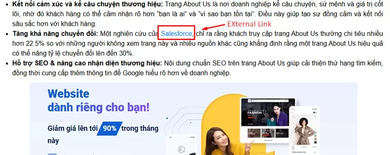 External link &ndash; Li&ecirc;n kết ngo&agrave;i